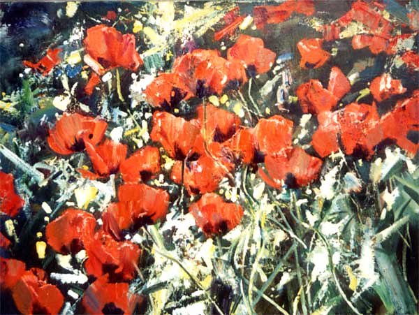 Poppies