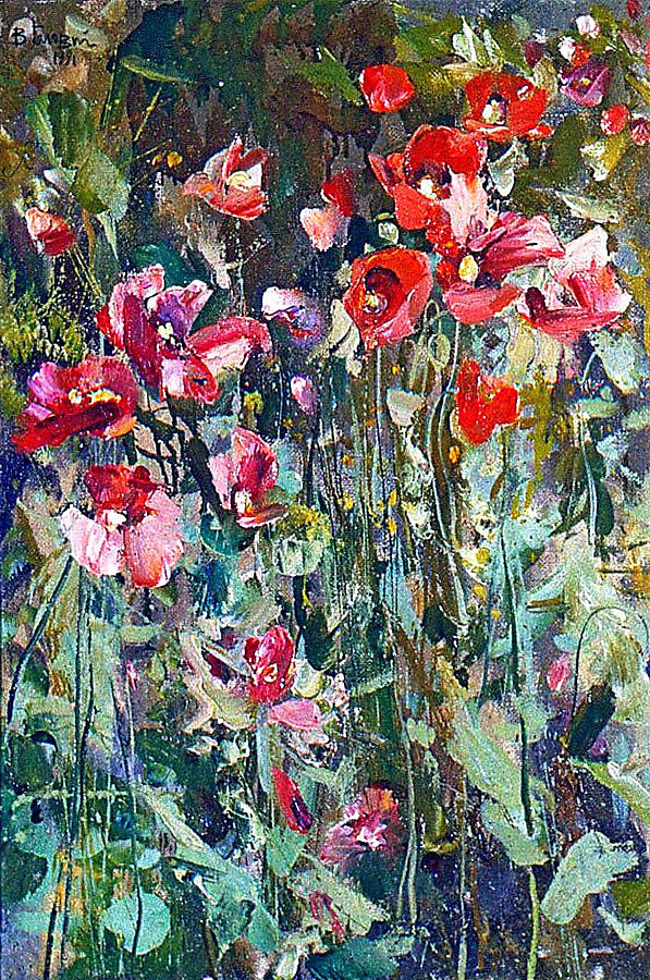 Poppies