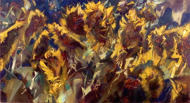 Sunflowers